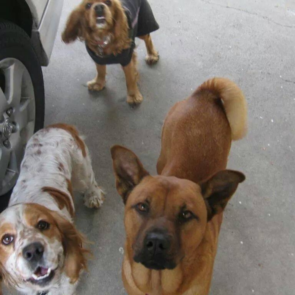 Meet your Posher, Nancy